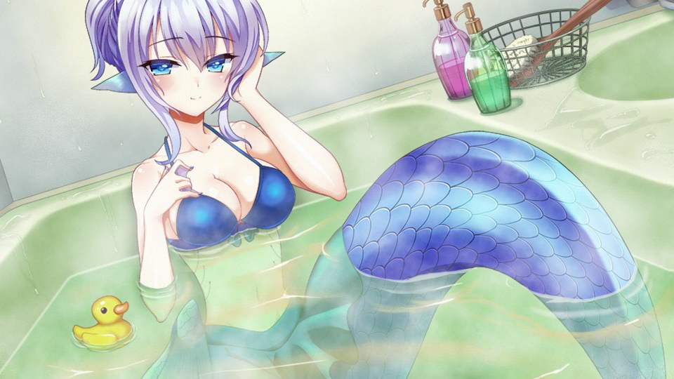 1girl, animal_ears, artist_request, back_scrubber, bathtub, bikini, blue_bikini, blue_eyes