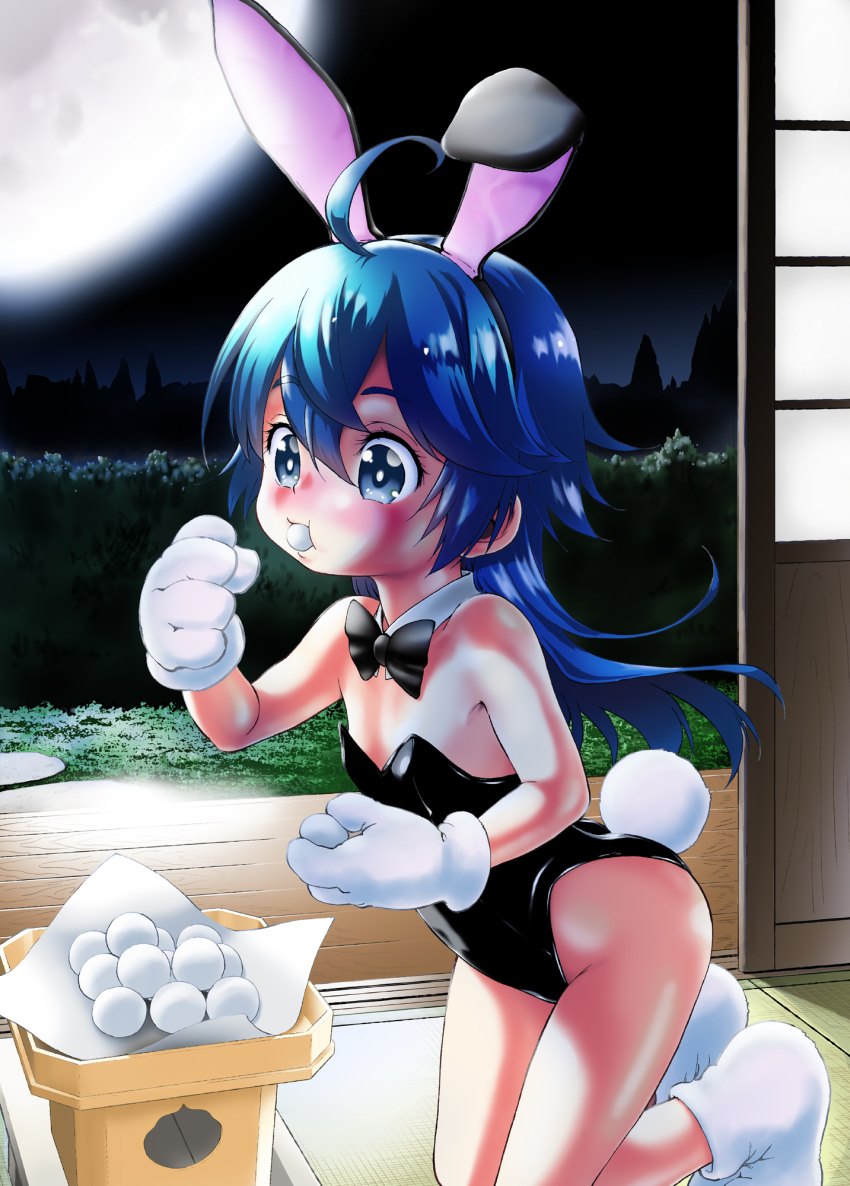 1girl, ahoge, animal_ears, bare_shoulders, black_bow, black_bowtie, black_leotard, blue_eyes, blue_hair, bow, bowtie, commentary_request, dango, detached_collar, eating, fake_animal_ears, female_focus, flat_chest, food, from_side, gloves, hair_between_eyes, highleg, highleg_leotard, highres, huge_moon, kneeling, leotard, loli, long_hair, looking_ahead, makafushigi, moon, night, original, playboy_bunny, rabbit_ears, rabbit_tail, sanbou, shouji, sliding_doors, solo, strapless, strapless_leotard, tail, tareme, tatami, traditional_bowtie, tsukimi_dango, veranda, wagashi, white_gloves