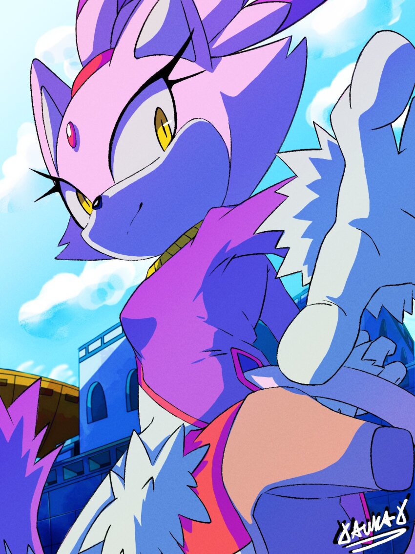 1girl, animal_ears, aurax118, blaze_the_cat, blue_sky, boots, cat_ears, cat_girl