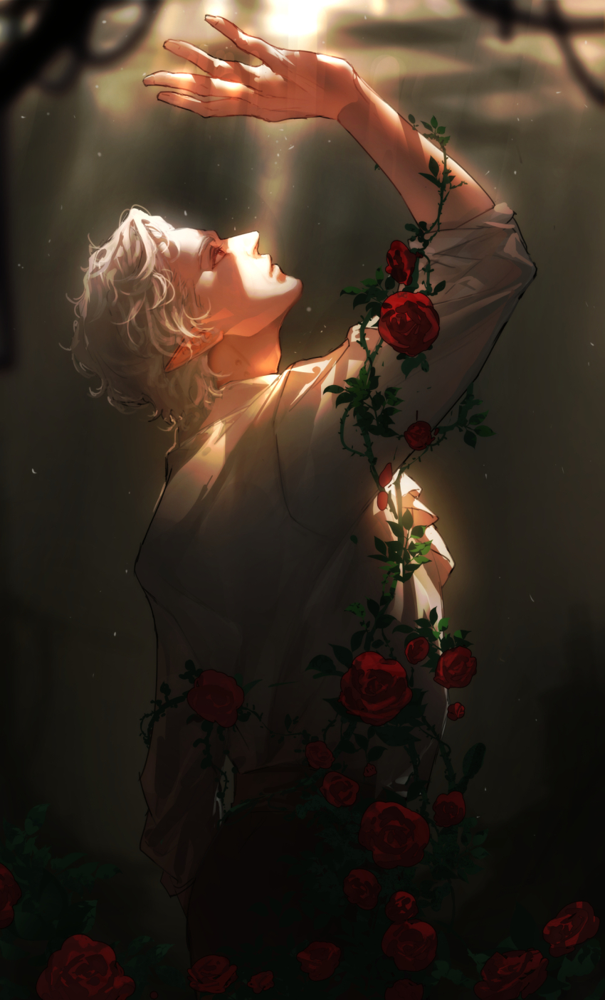 1boy, arm_up, astarion, baldur's_gate, baldur's_gate_3, black_pants, blurry, blurry_background