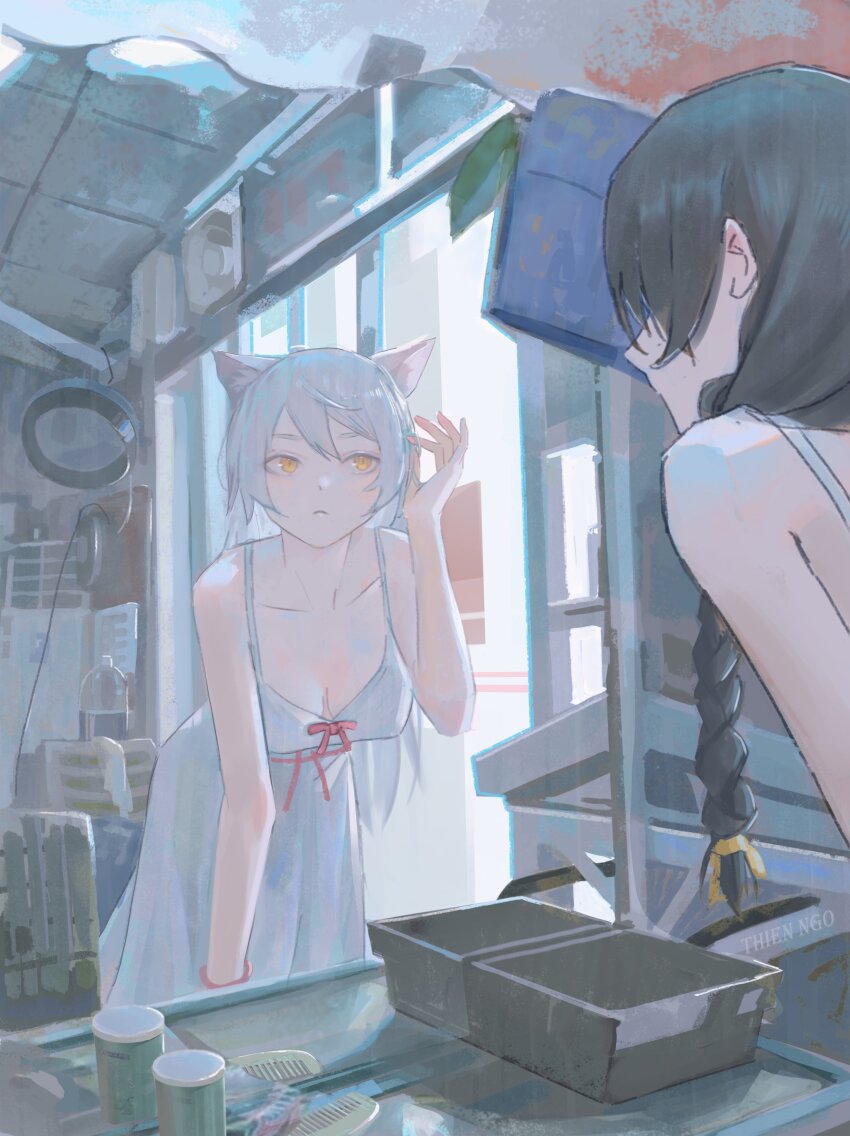 absurdres, animal_ears, bakeneko, bathroom, black_hair, black_hanekawa, braid, breasts