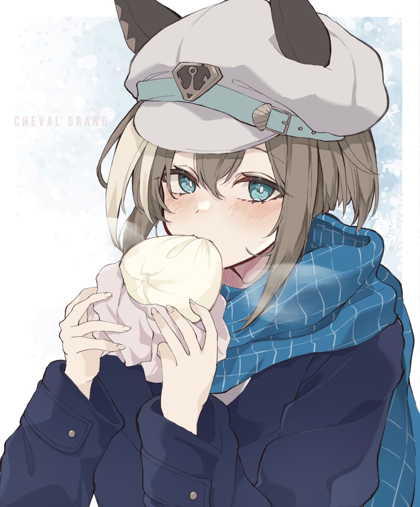 1girl, animal_ears, steamed_bun, black_coat, blue_eyes, blue_scarf, brown_hair, character_name