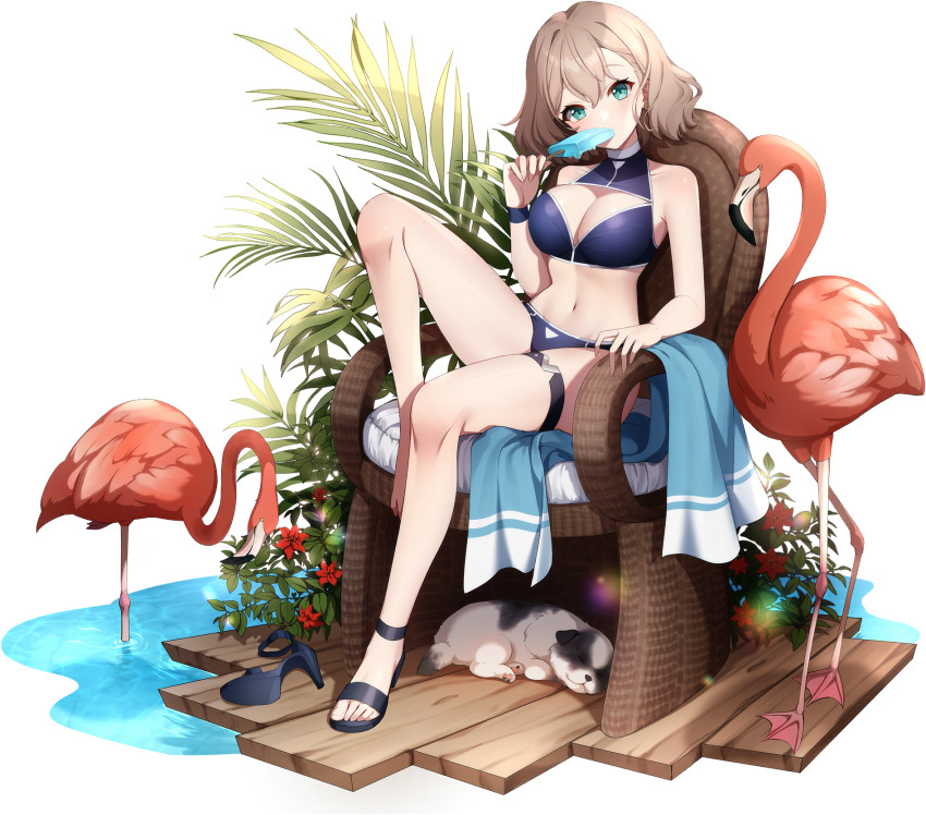 1girl, bare_arms, bare_legs, bare_shoulders, bikini, bird, black_bikini, black_shoes, blue_eyes, blush, breasts, chair, claire_(eversoul), cleavage, cleavage_cutout, clothing_cutout, dog, eversoul, flamingo, flower, food, food_in_mouth, full_body, game_cg, hair_between_eyes, high_heels, highres, holding, light_brown_hair, looking_at_viewer, medium_breasts, navel, non-web_source, official_alternate_costume, official_alternate_hairstyle, official_art, on_chair, palm_leaf, plant, popsicle, popsicle_in_mouth, red_flower, ripples, shoes, short_hair, single_shoe, sitting, solo, stomach, swimsuit, tachi-e, thigh_strap, towel, transparent_background, water