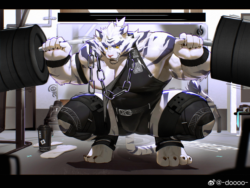1boy, abs, absurdres, anger_vein, animal_ears, armband, bara, black_armband, black_singlet, chain, chinese_commentary, claws, clenched_hands, commentary_request, dislyte, doooo_(doooo24), exercising, fitness_gym, furry, furry_male, highres, jin_qiu_(ru_shou)_(dislyte), male_focus, muscular, muscular_male, pectorals, ponytail, scar, scar_across_eye, scar_on_face, squatting, tail, tiger_boy, tiger_ears, tiger_stripes, tiger_tail, torn_clothes, veins, veiny_arms, watermark, weibo_watermark, weightlifting, yellow_eyes