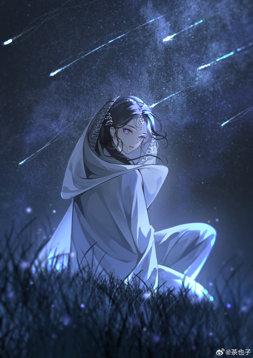 1girl, absurdres, black_hair, blurry, blurry_foreground, cha_ye_zi, desi, ear_piercing, facial_mark, forehead_mark, from_behind, full_body, grass, hair_ornament, hair_over_shoulder, highres, kaalaa_baunaa, light_particles, long_hair, looking_at_viewer, meteor_shower, night, on_ground, outdoors, pants, piercing, purple_eyes, reverse:1999, sitting, sky, solo, star_(sky), starry_sky, turning_head, veil, watermark, weibo_watermark
