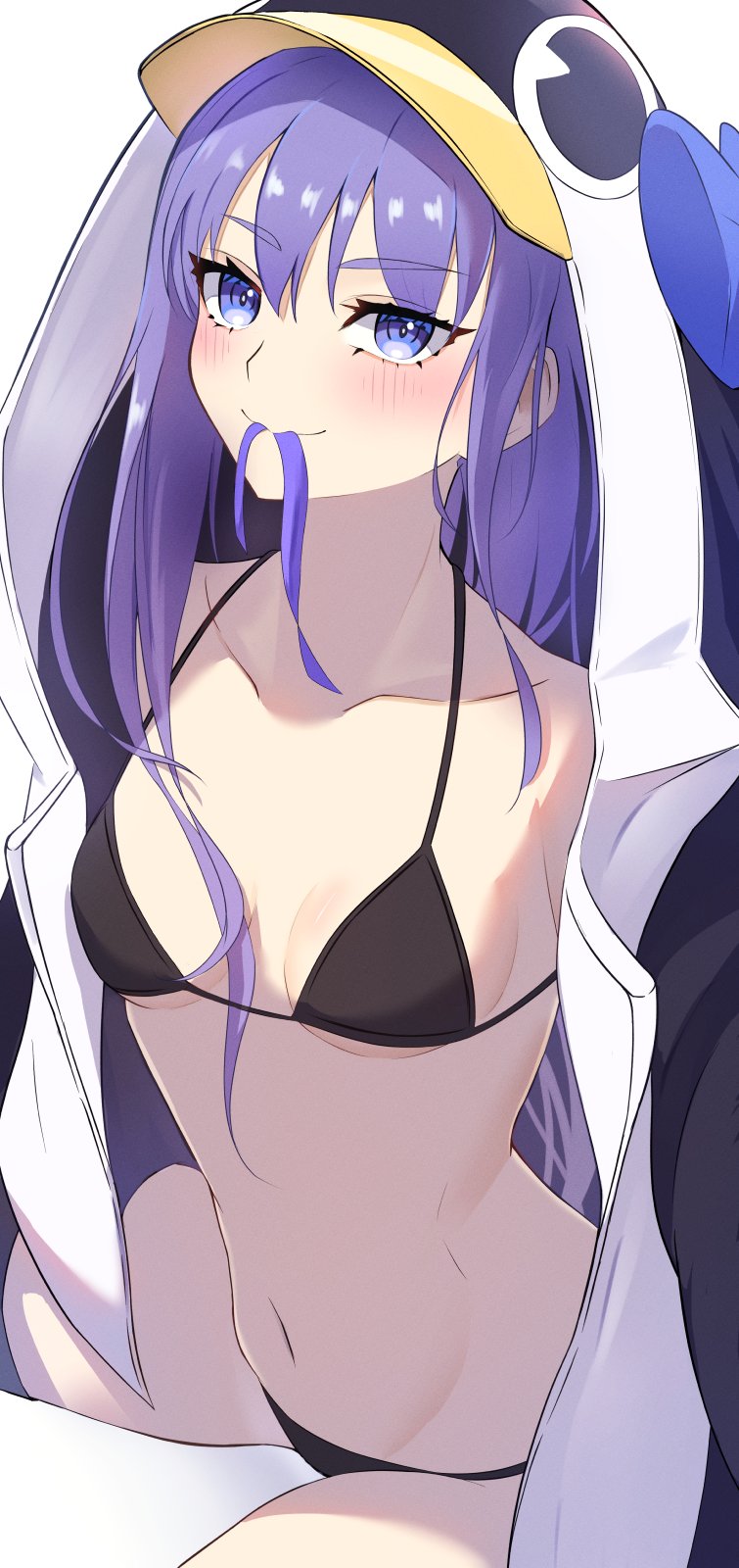 1girl, animal_hood, bikini, black_bikini, blue_eyes, breasts, fate/grand_order, fate_(series)