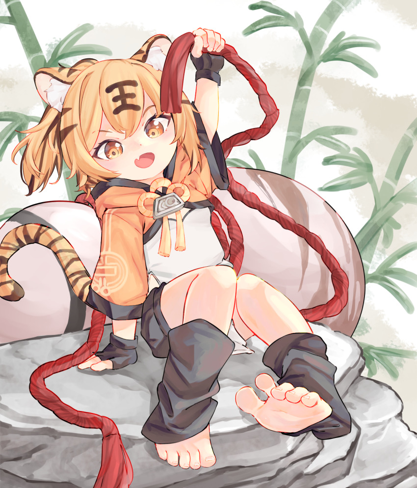 1girl, animal_ears, azur_lane, blonde_hair, chaosexceed, fang, feet, fingerless_gloves, gloves, highres, hood, hoodie, hu_pen_(azur_lane), open_mouth, rock, sitting, skin_fang, soles, solo, stirrup_legwear, tail, tiger_ears, tiger_girl, tiger_tail, toeless_legwear, toenails, toes