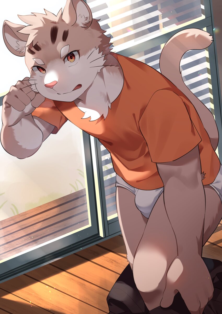 1boy, absurdres, agitong, animal_ears, black_pants, briefs, cat_boy, cat_ears, cat_tail, commentary_request, furry, furry_male, highres, looking_at_viewer, male_focus, male_underwear, orange_shirt, pants, shirt, sitri_(housamo), tail, tokyo_houkago_summoners, underwear, undressing, whiskers, white_briefs, white_male_underwear