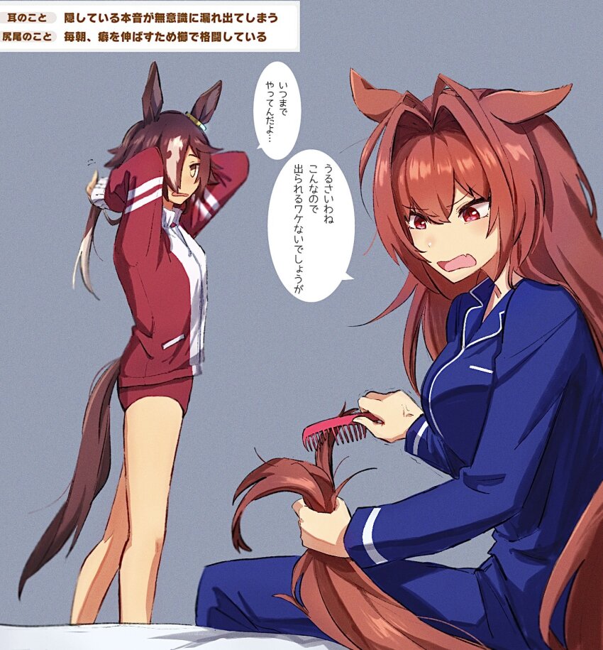 2girls, anger_vein, animal_ears, bedroom, blue_pajamas, brown_hair, buruma, daiwa_scarlet_(umamusume), ear_ornament, fang, hair_between_eyes, hair_over_one_eye, highres, horse_ears, horse_girl, horse_tail, jacket, kashu_ri, light_brown_hair, long_hair, long_sleeves, messy_hair, multiple_girls, on_bed, open_mouth, pajamas, paper_texture, red_buruma, red_eyes, red_hair, red_jacket, skin_fang, tail, brushing_tail, track_jacket, translation_request, trembling, umamusume, very_long_hair, vodka_(umamusume), yellow_eyes