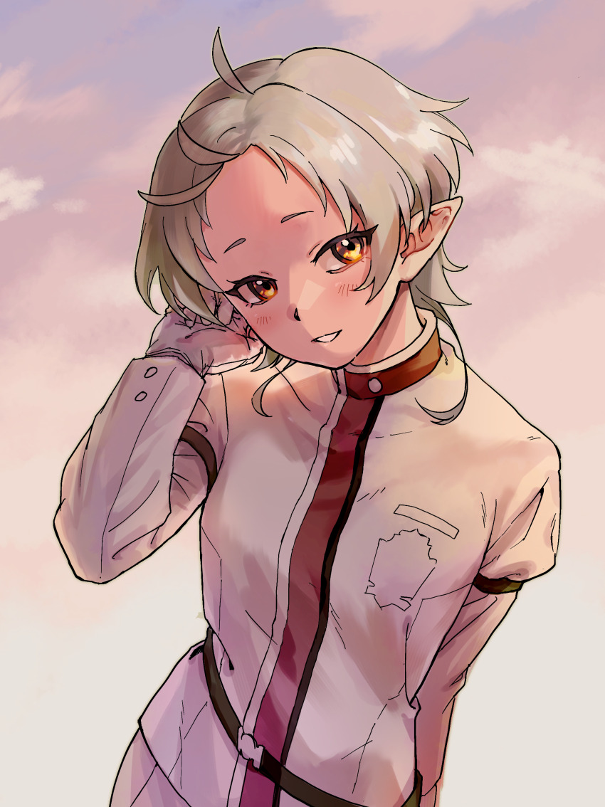 1girl, absurdres, cloud, elf, evening, gloves, grey_hair, highres