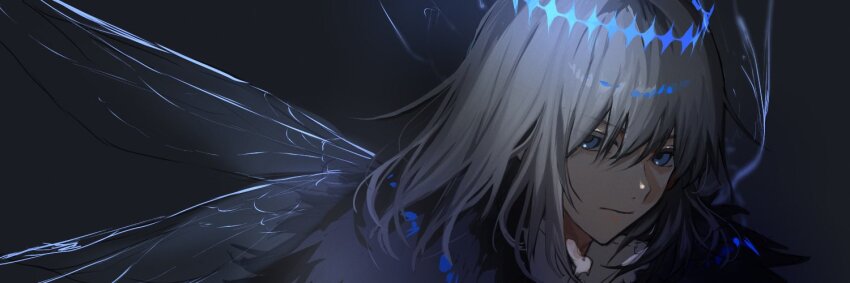 1boy, arthropod_limbs, bishounen, black_cloak, cloak, diamond_hairband, dragonfly_wings, expressionless