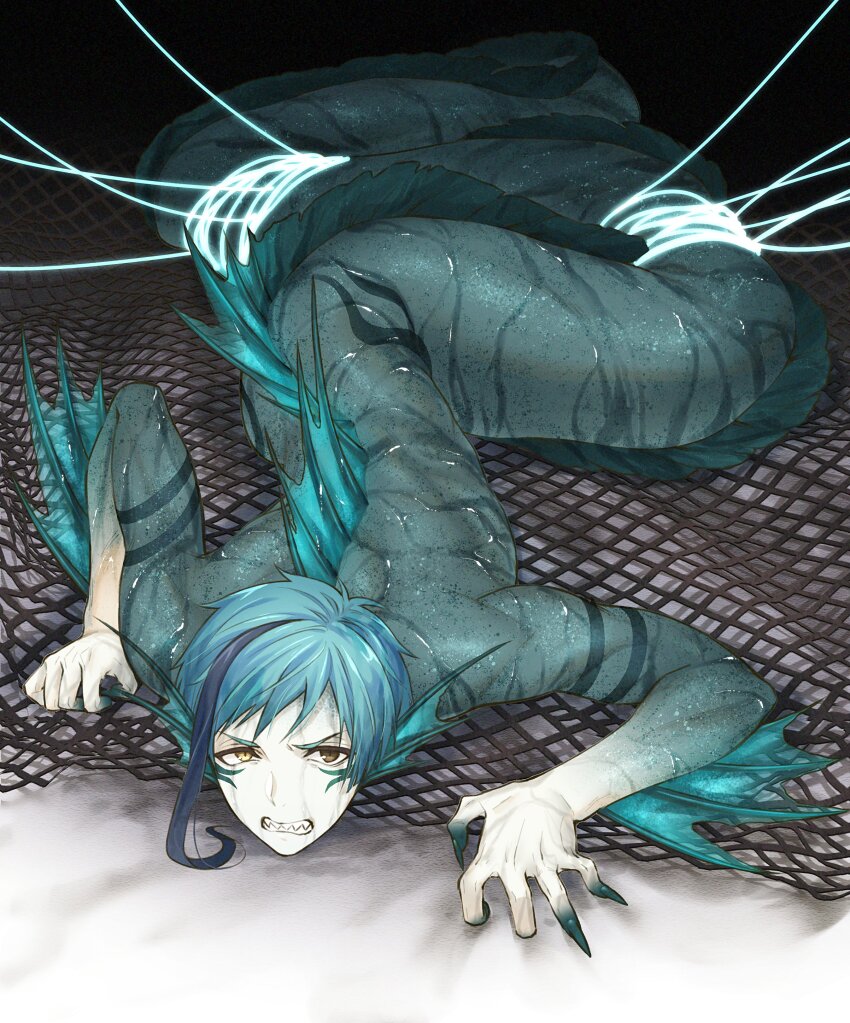 1boy, absurdres, blue_hair, blue_nails, blue_skin, body_markings, brown_eyes, clenched_teeth, colored_skin, eel_boy, fingernails, fins, fishing_net, floyd_leech, floyd_leech_(eel), full_body, furrowed_brow, head_fins, heterochromia, highres, looking_at_viewer, lying, male_focus, marokuri5, monster_boy, multicolored_hair, multicolored_skin, on_stomach, restrained, sharp_fingernails, sharp_teeth, short_hair, solo, spines, streaked_hair, teeth, twisted_wonderland, wet, white_skin, yellow_eyes