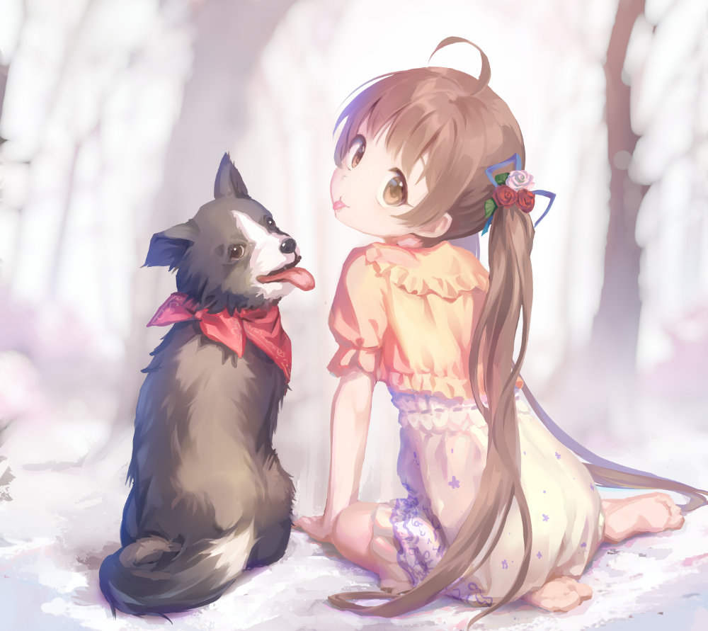 1girl, :p, ahoge, barefoot, border_collie, brown_eyes, brown_hair, commentary
