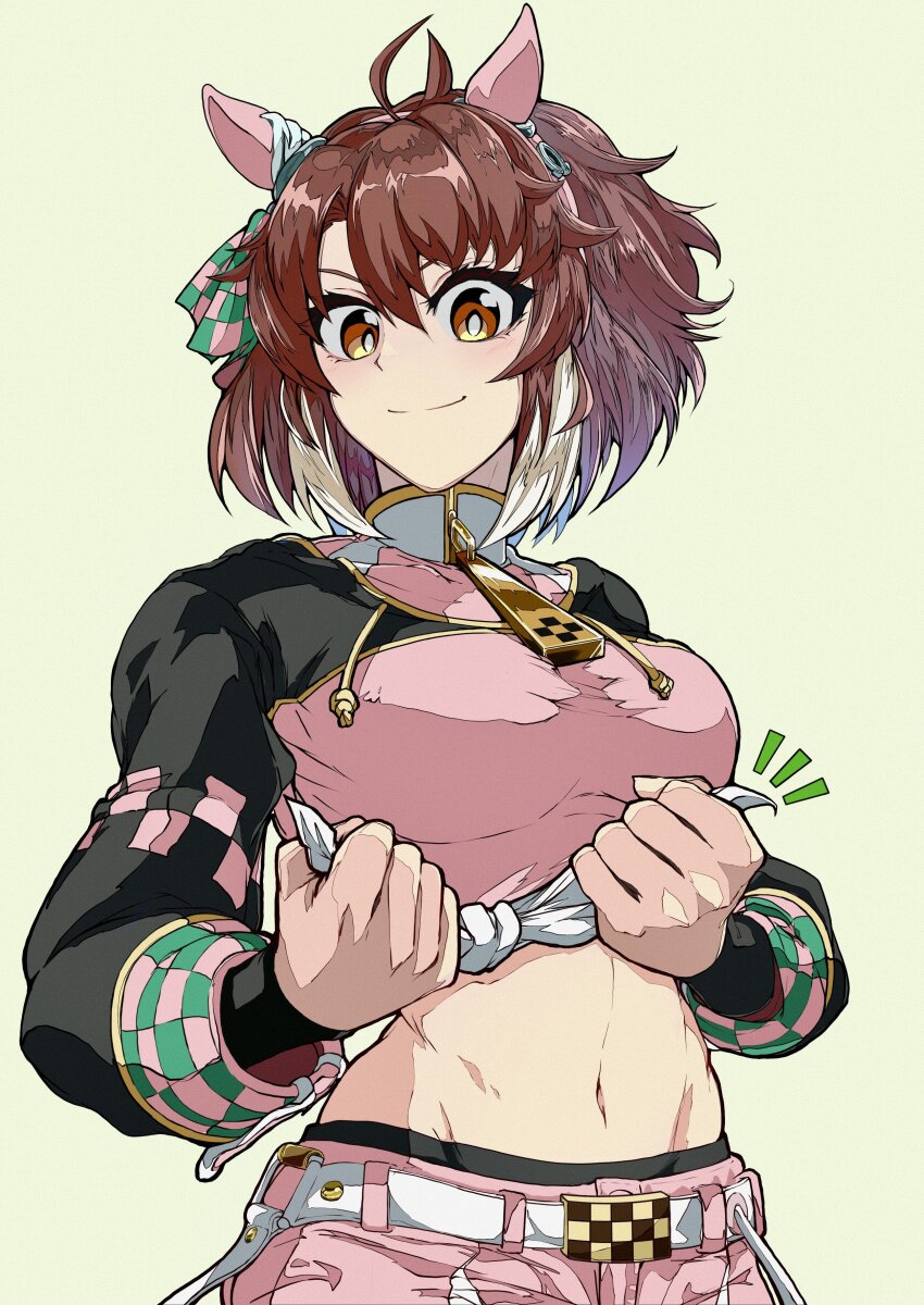 1girl, absurdres, animal_ears, belt, brown_eyes, brown_hair, commentary_request, crop_top