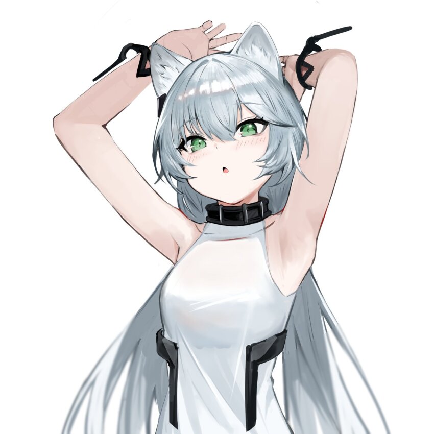 1girl, :o, animal_ears, arknights, armpits, arms_up, black_collar, blush, cat_ears, cat_girl, collar, green_eyes, grey_hair, hair_between_eyes, highres, long_hair, looking_at_viewer, open_mouth, rosmontis_(arknights), rosmontis_(become_anew)_(arknights), s_4ik4, shirt, sidelocks, simple_background, sleeveless, sleeveless_shirt, solo, straight_hair, upper_body, white_background