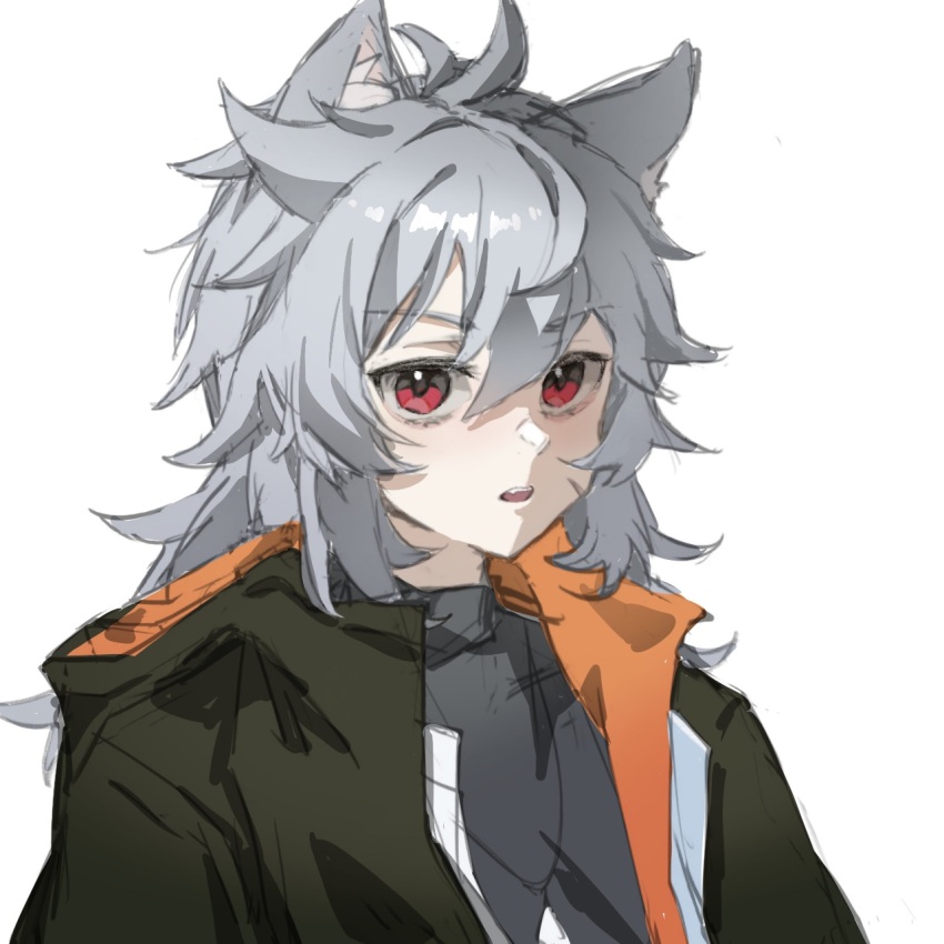 1boy, alternate_costume, animal_ears, deardraco, genshin_impact, grey_hair, highres, jacket