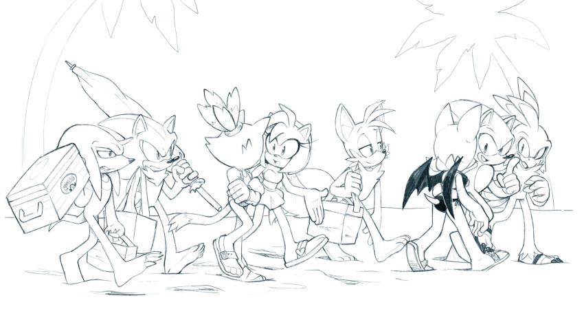 3girls, 5boys, amy_rose, animal_ears, bag, bat_ears, bat_girl, bat_wings