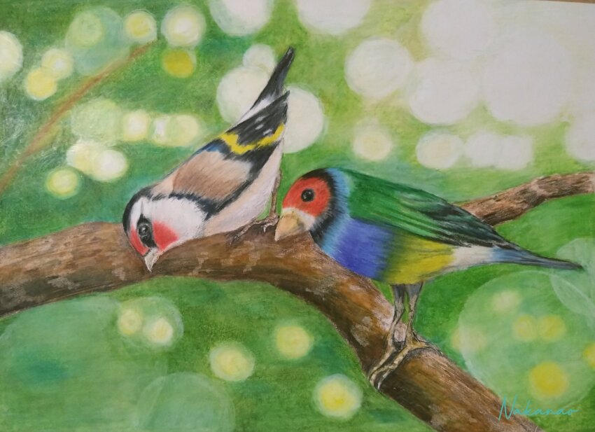 animal, bird, branch, colored_pencil_(medium), dappled_sunlight, highres, nakanaori31, no_humans