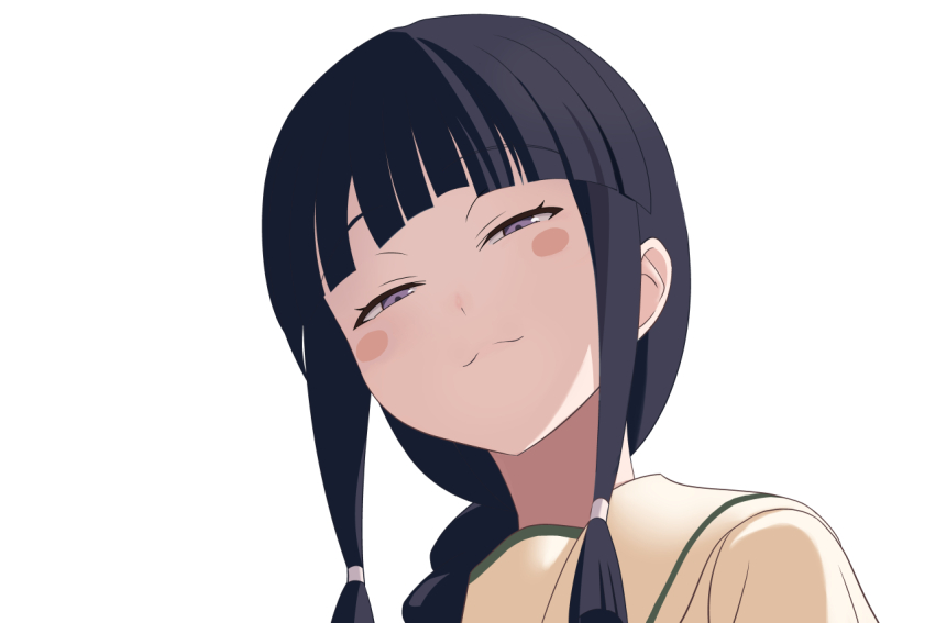 1girl, black_hair, blunt_bangs, blush_stickers, braid, from_below, hair_over_shoulder, hair_ribbon