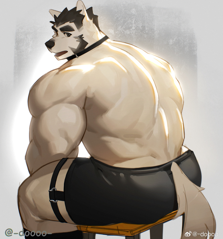 1boy, animal_ears, ass, back_muscles, bara, dog_boy, dog_ears, dog_tail