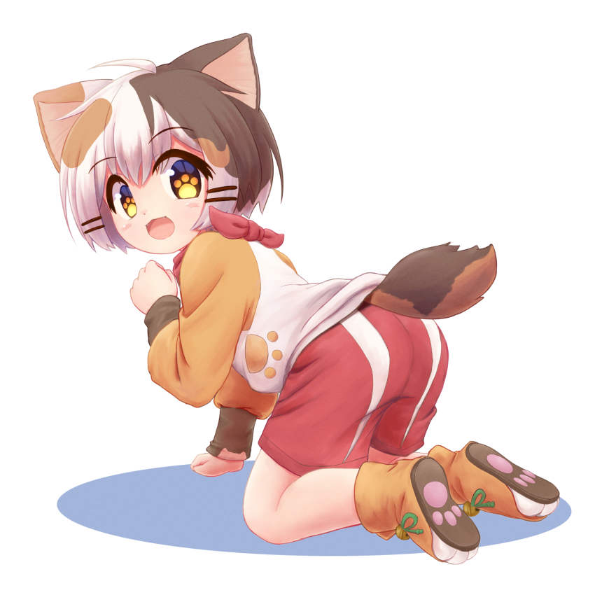 1boy, all_fours, animal_ears, ass, ass_focus, brown_hair, calico_(pattern), cat_boy