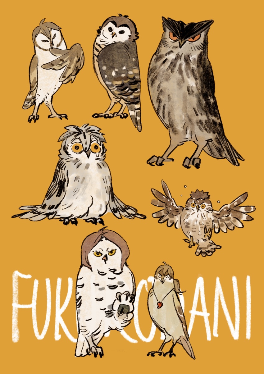 akaashi_keiji, animal, animalization, bird, bokuto_koutarou, character_request, check_character, chengongzi123