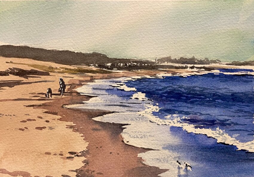 animal, beach, bird, dog, footprints, highres, no_humans, ocean