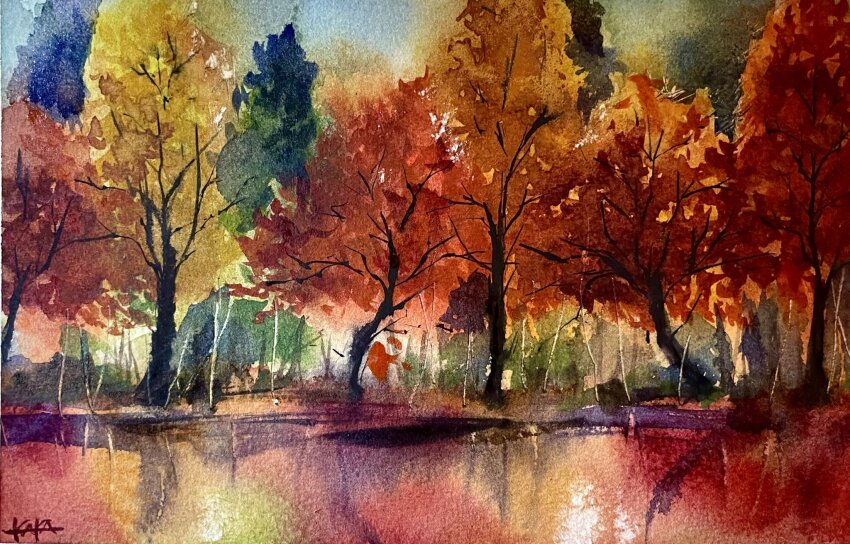 autumn, autumn_leaves, bush, forest, highres, leaf, maple_tree, nature