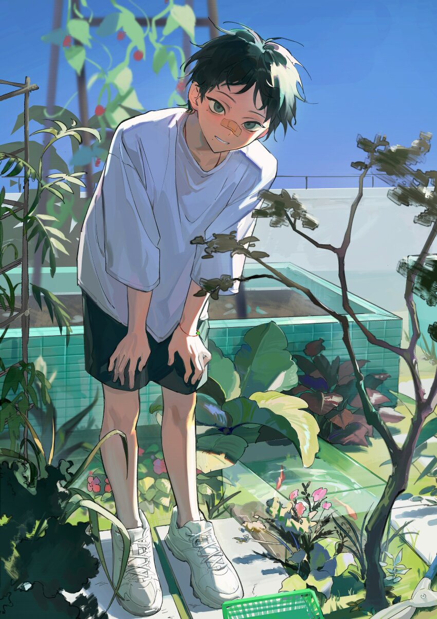 1boy, absurdres, bandaid, bandaid_on_face, black_hair, black_shorts, blue_sky, blush