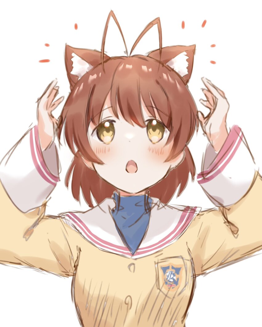 1girl, :o, animal_ear_fluff, animal_ears, antenna_hair, badge, blue_shirt, brown_eyes