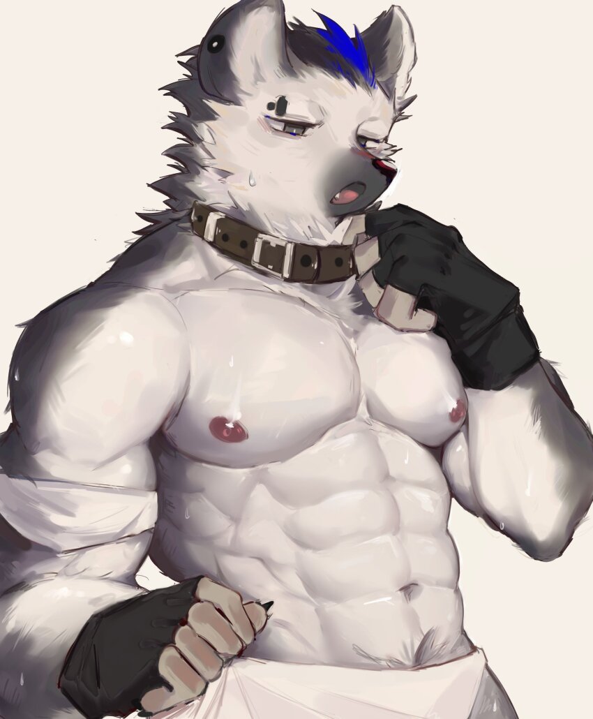 1boy, abs, animal_collar, arknights, bara, black_gloves, collar, commentary