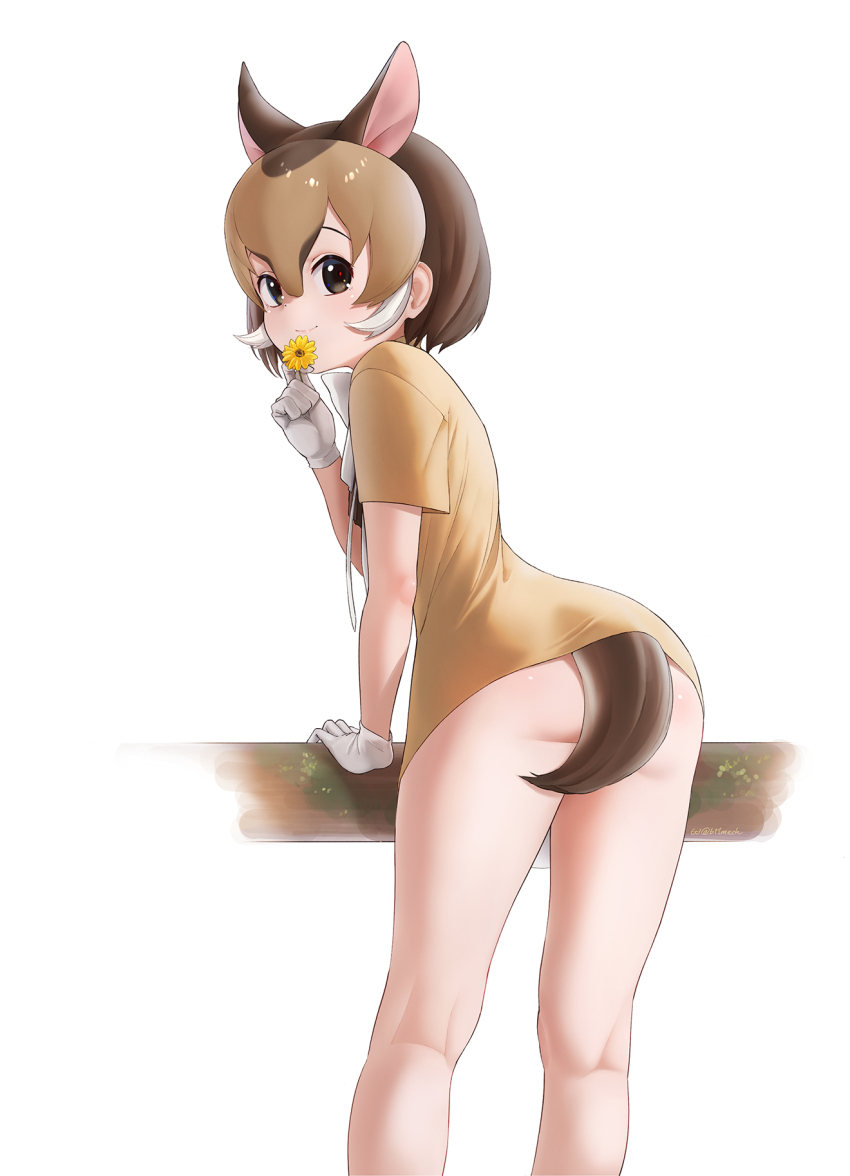 1girl, animal_ears, ass, beleven, brown_eyes, brown_hair, brown_shirt, chevrotain_(kemono_friends)