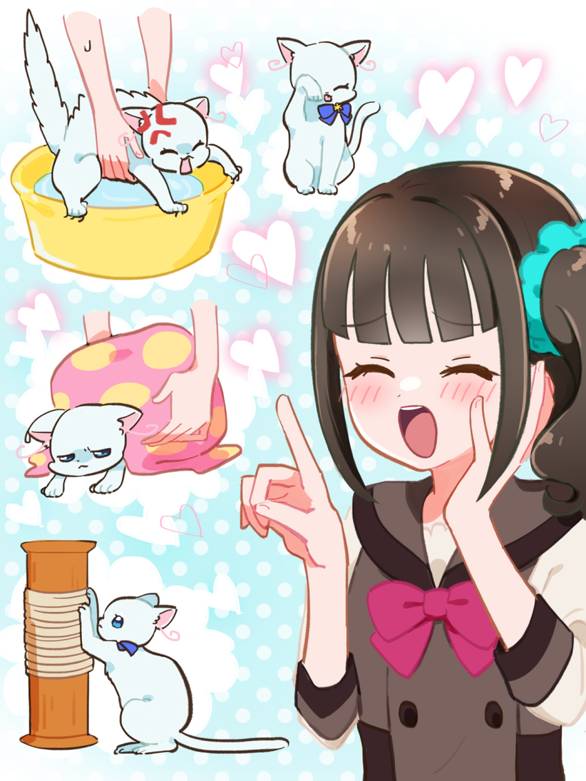 2girls, anger_vein, angry, bathtub, blue_eyes, blush, cat, drying