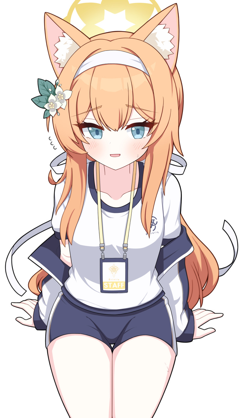 1girl, absurdres, animal_ear_fluff, animal_ears, black_shorts, blue_archive, blue_eyes, blush