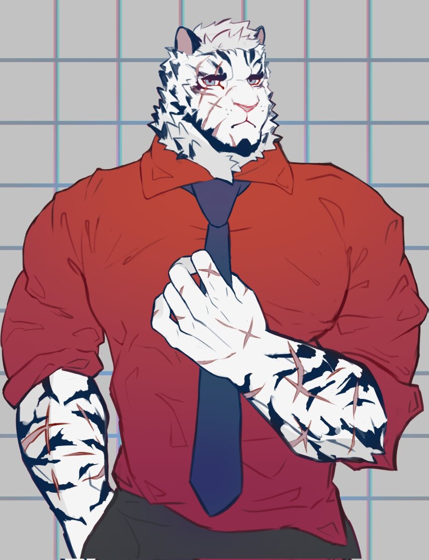 1boy, adjusting_clothes, adjusting_necktie, alternate_costume, animal_ears, arknights, bara, beard, collared_shirt, cowboy_shot, expressionless, facial_hair, facial_scar, formal_clothes, full_beard, furry, furry_male, highres, large_pectorals, looking_at_viewer, male_focus, mountain_(arknights), muscular, muscular_male, necktie, para_(parasouleater), pectorals, red_shirt, scar, scar_across_eye, scar_on_cheek, scar_on_face, scars_all_over, shirt, short_hair, sleeves_rolled_up, solo, standing, thick_eyebrows, tiger_boy, tiger_ears, too_many, white_fur, white_hair