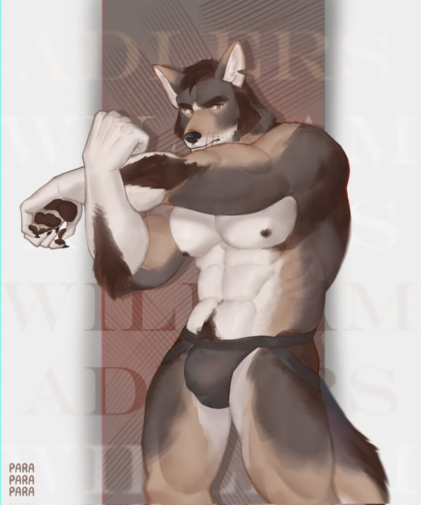1boy, abs, bara, black_male_underwear, brown_theme, bulge, coyote_boy, facial_hair, feet_out_of_frame, furry, furry_male, highres, jockstrap, large_pectorals, looking_at_viewer, male_focus, male_underwear, mature_male, muscular, muscular_male, mutton_chops, navel, navel_hair, nipples, notched_ear, para_(parasouleater), pectorals, scar, scar_on_face, scar_on_mouth, solo, standing, stomach, stretching, the_smoke_room, thick_eyebrows, thick_thighs, thighs, topless_male, underwear, william_adler_(the_smoke_room)