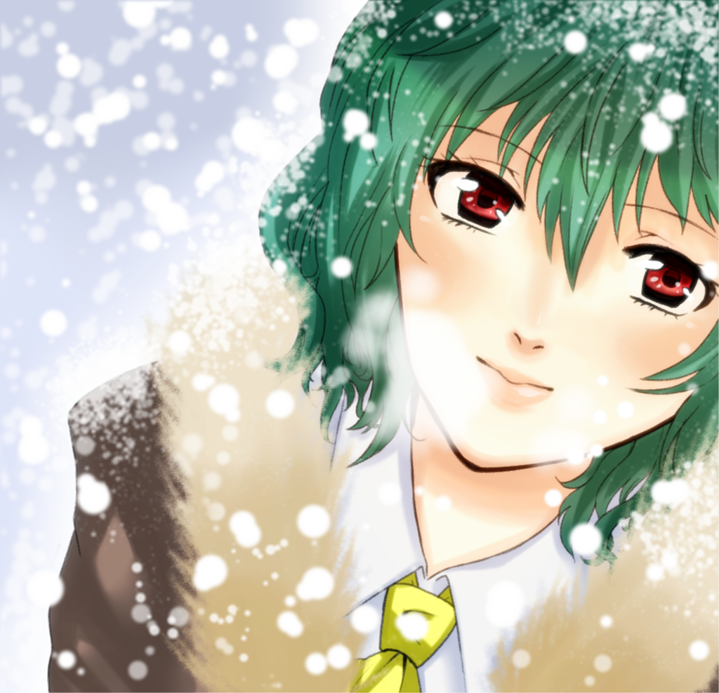 1girl, bad_id, bad_pixiv_id, bajinappo, blush, coat, female_focus, from_above, fur-lined, fur_trim, green_hair, kazami_yuuka, light_smile, lips, looking_up, portrait, red_eyes, snow, solo, touhou
