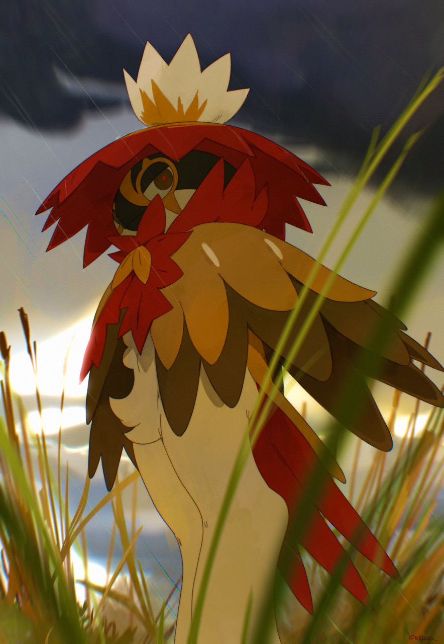 day, grass, grey_sky, highres, hisuian_decidueye, kel-del, looking_at_viewer, nintendo