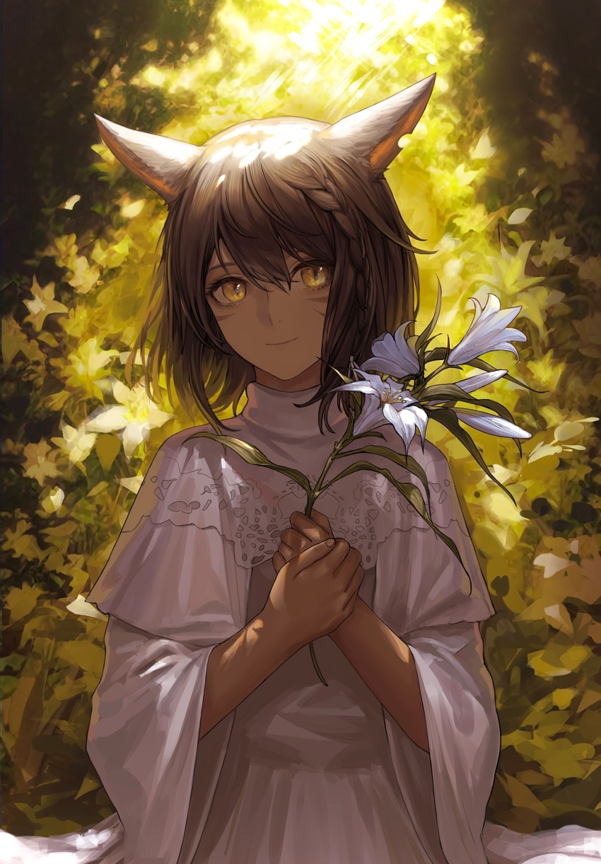 1girl, absurdres, animal_ears, braid, brown_hair, bushi_shui_zi_ba, capelet, cat_ears