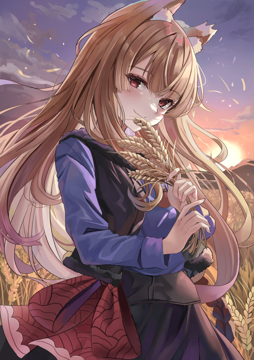 1girl, animal_ear_fluff, animal_ears, backlighting, black_skirt, black_vest, blue_shirt, blunt_bangs, blush, brown_hair, closed_mouth, commentary, cowboy_shot, eyelashes, floating_hair, fur-trimmed_vest, fur_trim, hands_up, highres, holding_wheat, holo, long_hair, long_sleeves, looking_at_viewer, mountainous_horizon, open_clothes, open_vest, outdoors, red_eyes, shirt, skirt, smile, solo, spice_and_wolf, straight_hair, suidou_chaahan, sun, sunlight, sunset, tsurime, very_long_hair, vest, wheat, wheat_field, wind, wolf_ears, wolf_girl