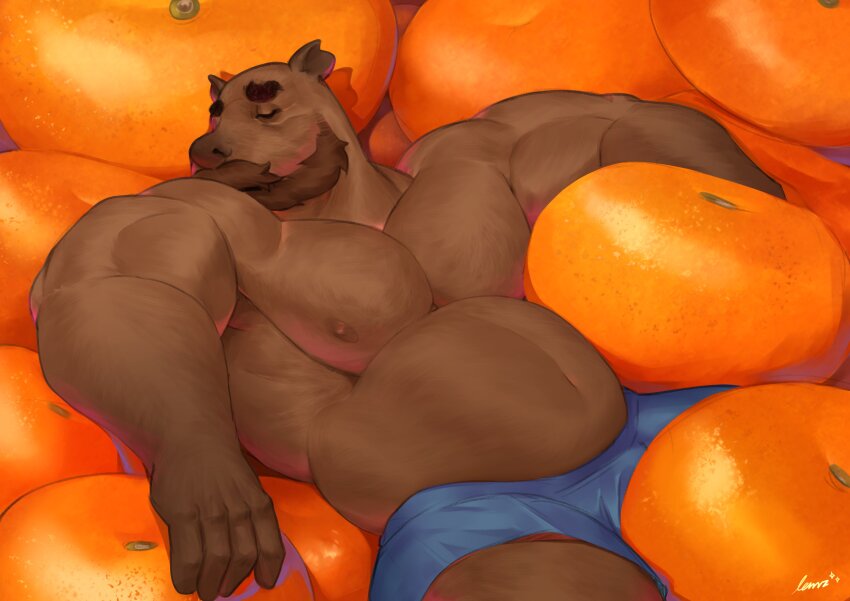 1boy, absurdres, animal_ears, bara, beard, belly, blue_male_underwear, boxers, bulge, capybara_ears, closed_eyes, convenient_censoring, cowboy_shot, facial_hair, facing_to_the_side, food, fruit, full_beard, furry, furry_male, hairy, highres, huge_eyebrows, large_pectorals, lemz_(adrawingpotato), lying, male_focus, male_underwear, mandarin_orange, mature_male, muscular, muscular_male, mustache, navel, nipples, on_back, original, outstretched_arms, oversized_food, oversized_object, pectorals, short_hair, sleeping, solo, spread_arms, stomach, strongman_waist, thick_beard, thick_mustache, topless_male, underwear