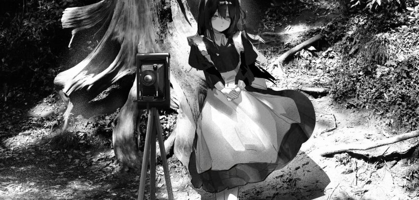 1girl, antique_camera, apron, branch, bush, dappled_sunlight, dress, feet_out_of_frame