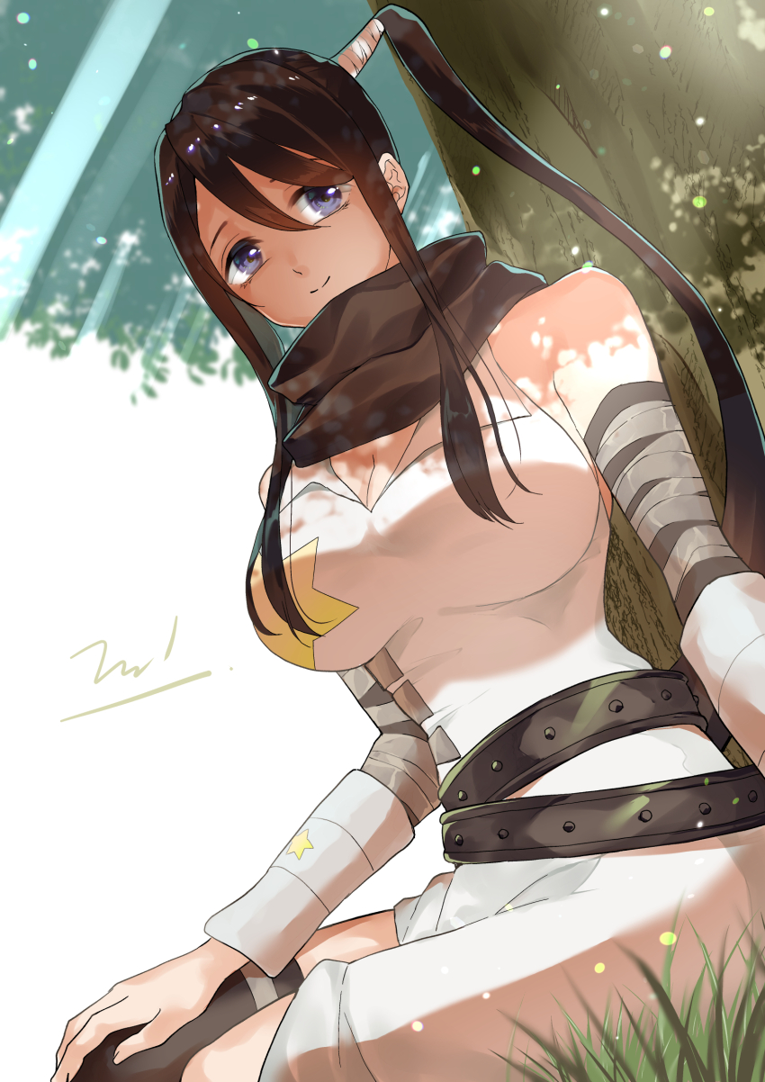 1girl, bandaged_arm, bandages, bare_shoulders, black_hair, blue_eyes, breasts, cleavage, high_ponytail, highres, large_breasts, long_hair, looking_to_the_side, nakatsukasa_tsubaki, nambu_01, ninja, outdoors, ponytail, signature, sitting, solo, soul_eater, star_(symbol), tree, under_tree