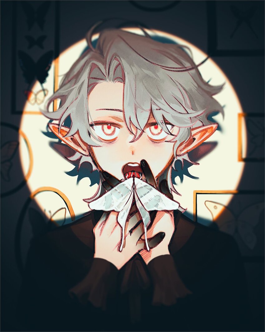 1boy, black_background, bug, butterfly, butterfly_on_hand, colored_extremities, elf, framed_insect