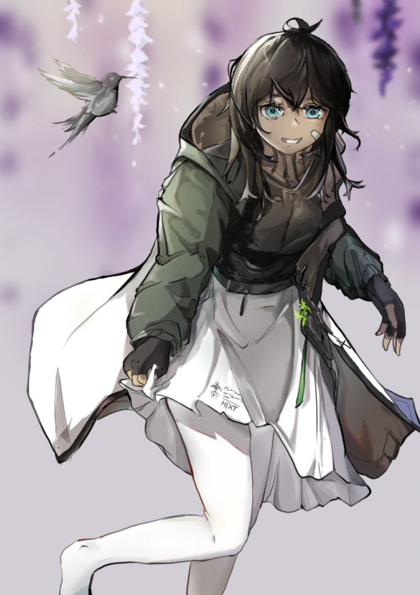 1girl, arknights, bandaid, bandaid_on_face, bird, black_bird, black_gloves, black_hair