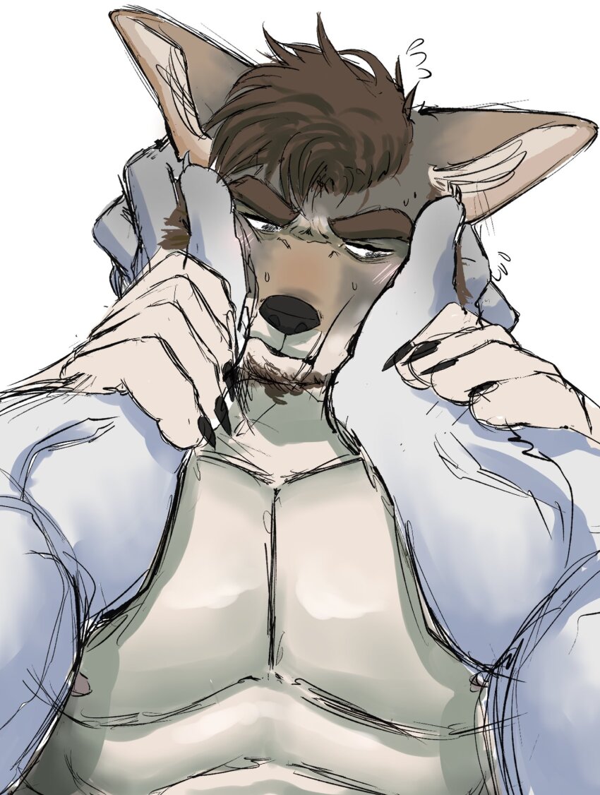 2boys, abs, animal_ears, bara, blush, brown_hair, claws, commentary