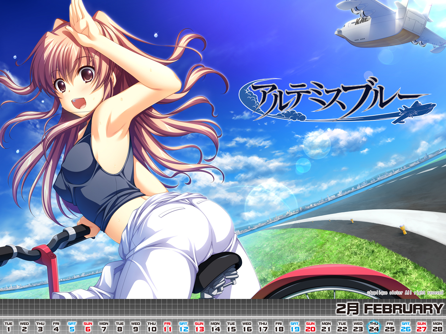 aircraft, artemis_blue, asami_asami, bicycle, brown_hair, calendar, tagme, tajima_haru