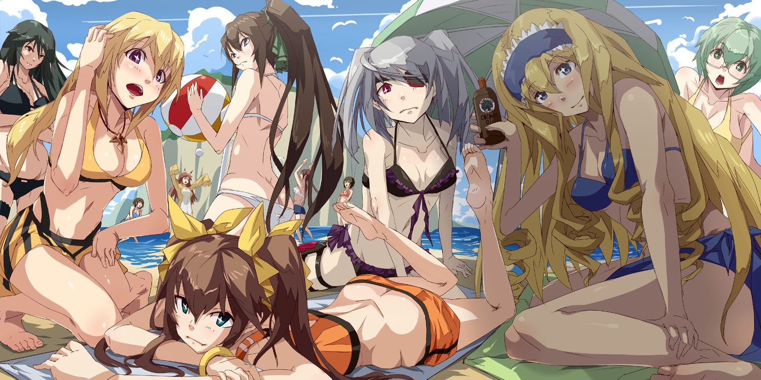 ball, beach, bikini, blonde_hair, blue_eyes, breasts, brown_hair, cecilia_alcott, charlotte_dunois, cleavage, eyepatch, glasses, gray_hair, green_eyes, green_hair, group, headband, hiropon_pj, huang_lingyin, infinite_stratos, laura_bodewig, long_hair, ponytail, purple_eyes, red_eyes, shinonono_houki, short_hair, swimsuit, twintails, yamada_maya