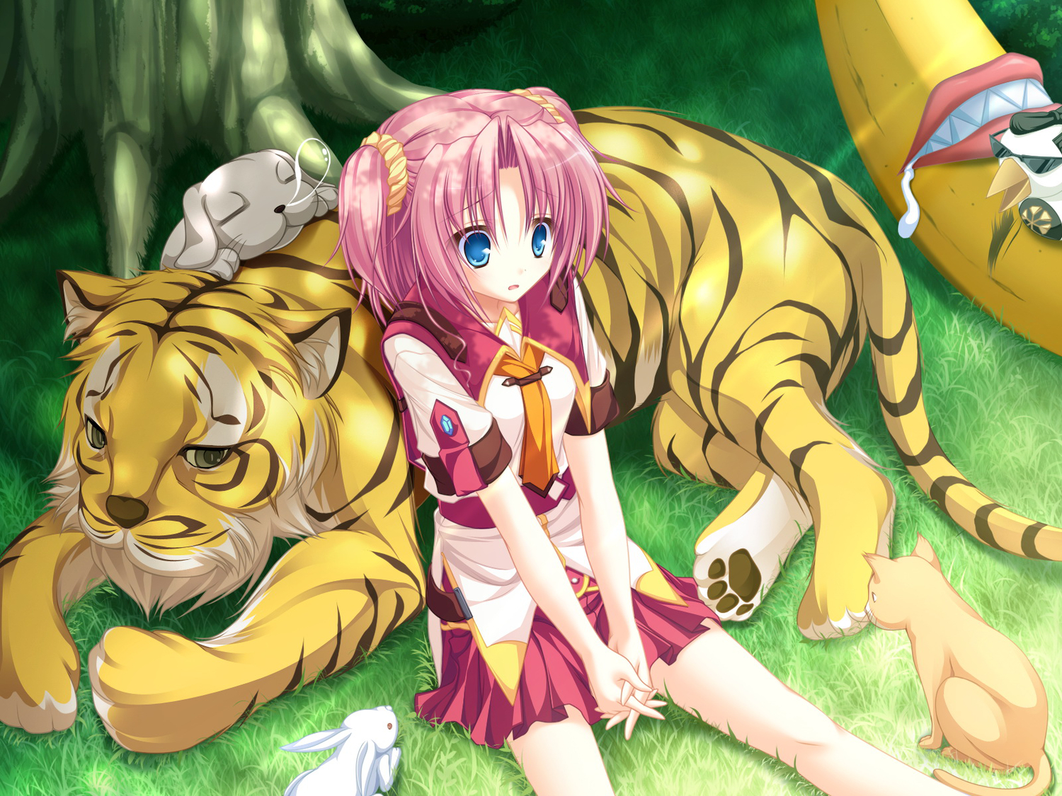 77, animal, blue_eyes, cat, game_cg, grass, kazamai_sakura, mikagami_mamizu
