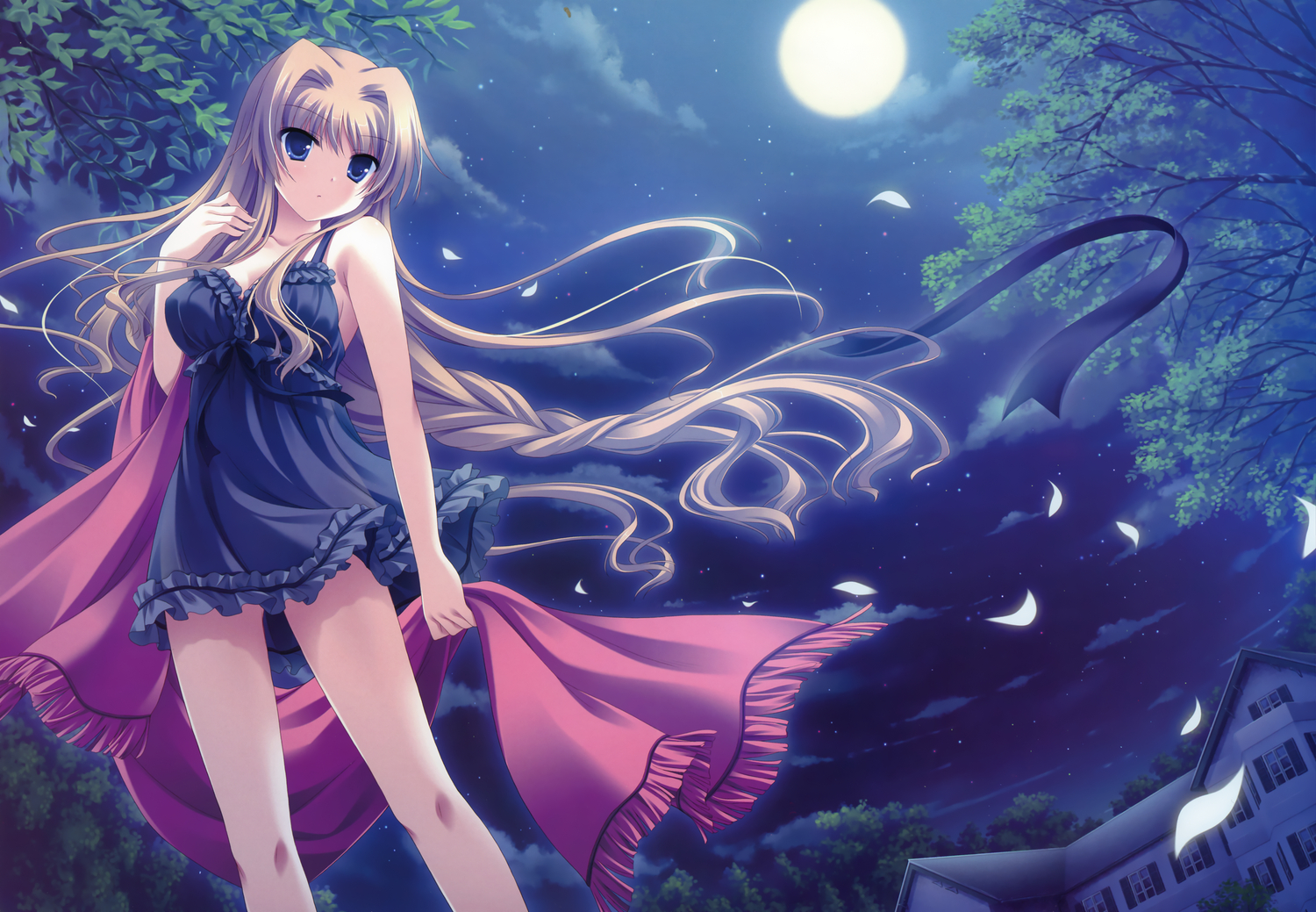 blue_eyes, cabbit, chisha, dress, long_hair, midori_no_umi, moon, night, petals, scan, yukie